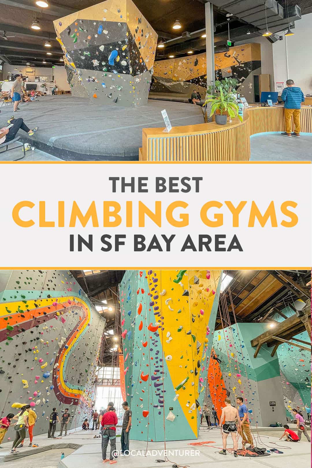 5 Best San Francisco Climbing Gyms + Bay Area