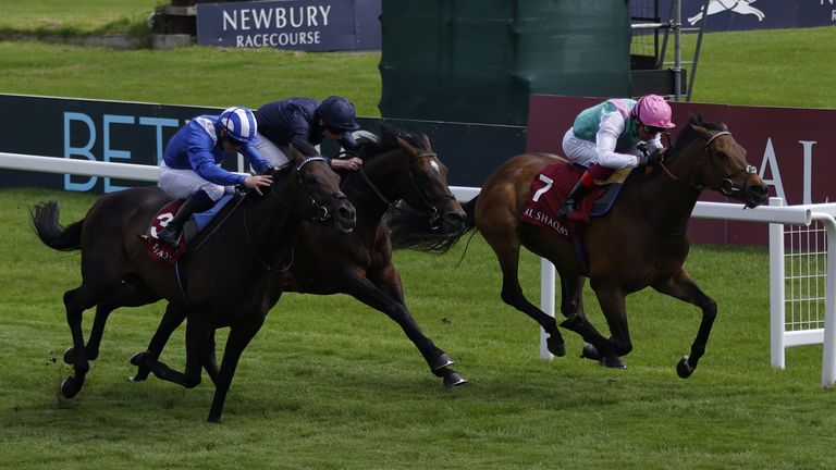 Frankie Dettori gets there late to win the Al Rayyan Stakes on Haskoy