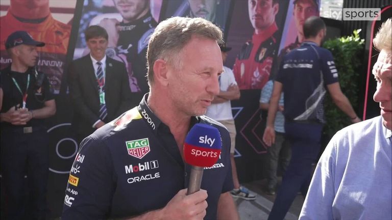 Red Bull team principal Christian Horner was elated for Max Verstappen, who snatched pole on the final lap, but was disappointed for Perez 