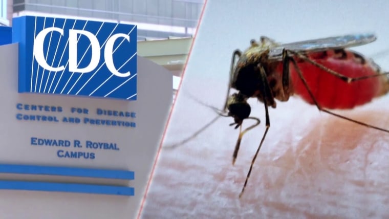 CDC issues malaria alert after 5 locally contracted cases reported in the U.S.