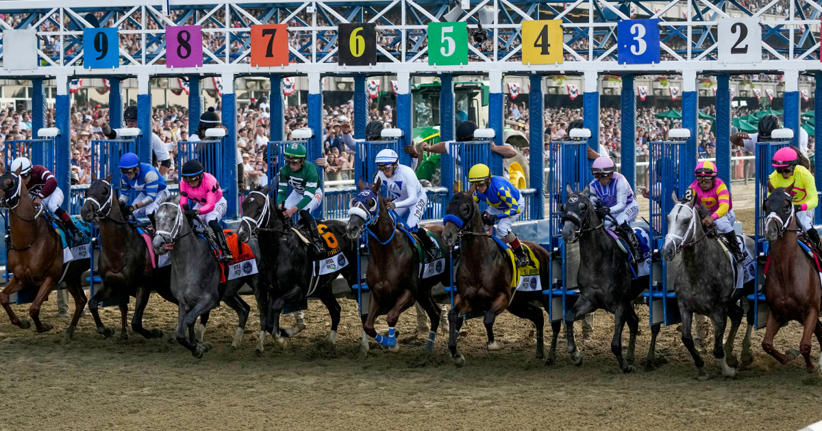 Horses die in consecutive races at Belmont Park, following history-making event