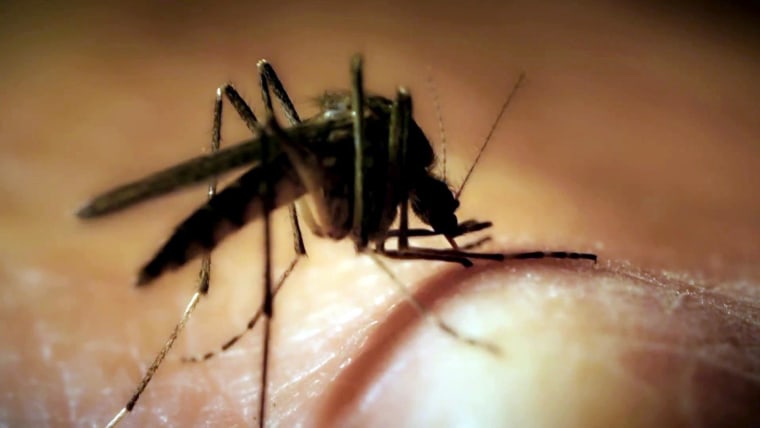 New malaria cases in US trigger alert from CDC