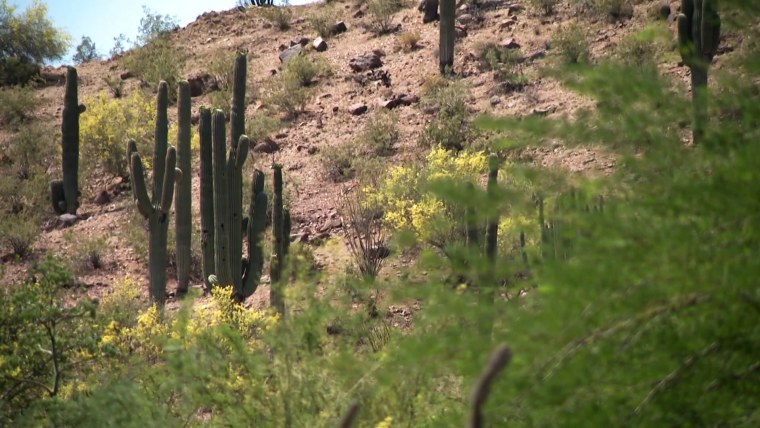 As Phoenix hits 30 days over 110, expected monsoon rains could help cool the Southwest