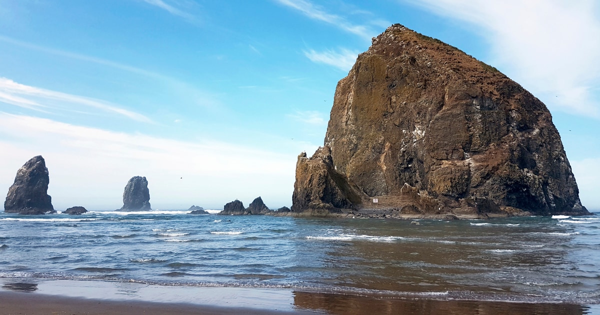 Cougar that closed Oregon’s Cannon Beach moves on