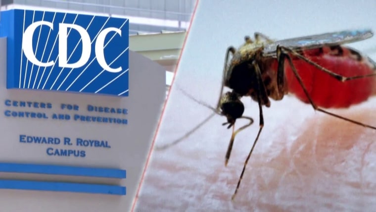 Eight cases of locally transmitted malaria discovered in Florida, Texas