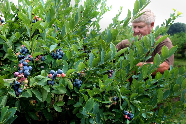 From book bans to blueberries, here are some of the state laws taking effect July 1