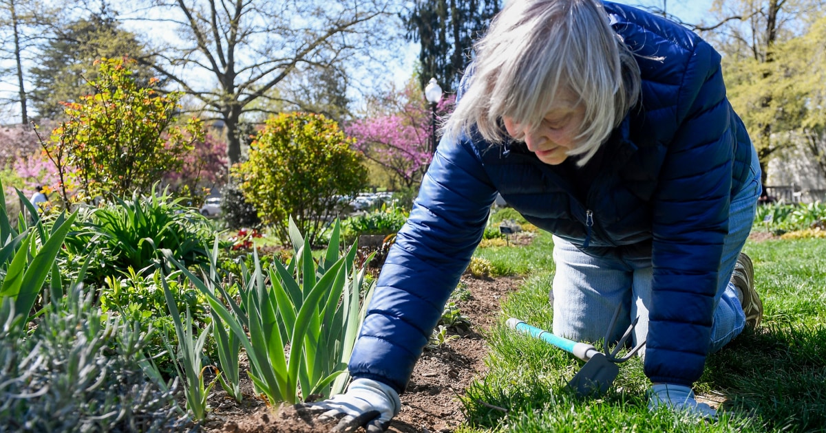 Short bursts of activity, totaling less than 10 minutes, linked to lower risk of death