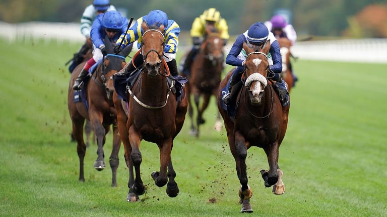 Trueshan and Hollie Doyle edge out Coltrane to win the Long Distance Cup