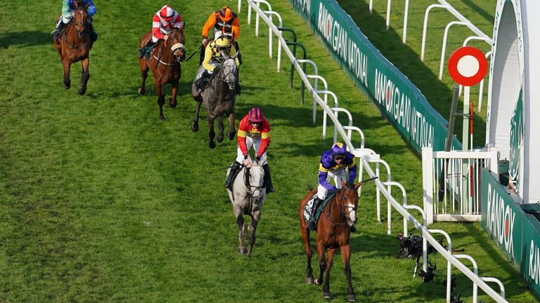 Walsh: National changes the next step in abolition of jump racing