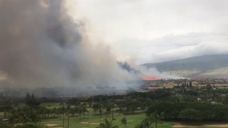 Woman who fled Maui wildfires by running through flaming field dies weeks later