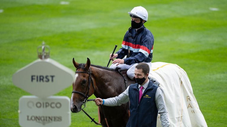 Career on the line for fan favourite Sir Busker at Lingfield