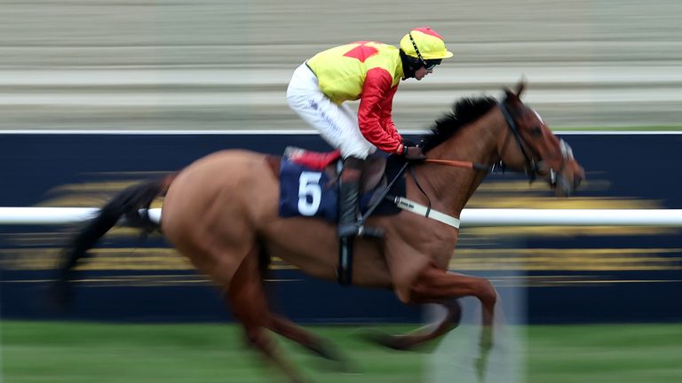 Triple Trade in action at the Winter Million at Lingfield