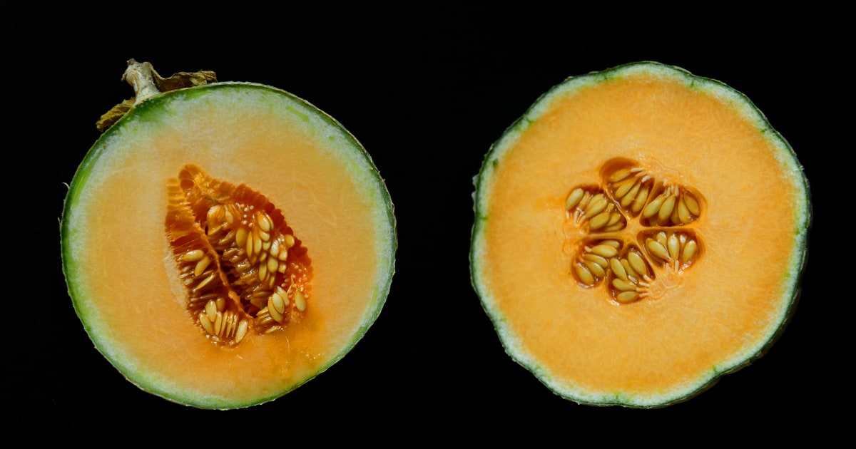 18 more people sickened in salmonella outbreak linked to cantaloupe