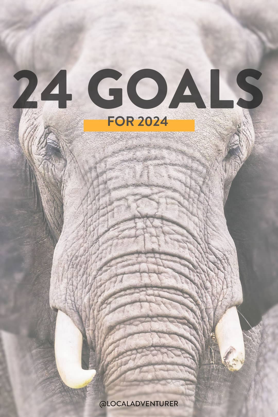 24 Goals for 2024 – Year of Reinvention