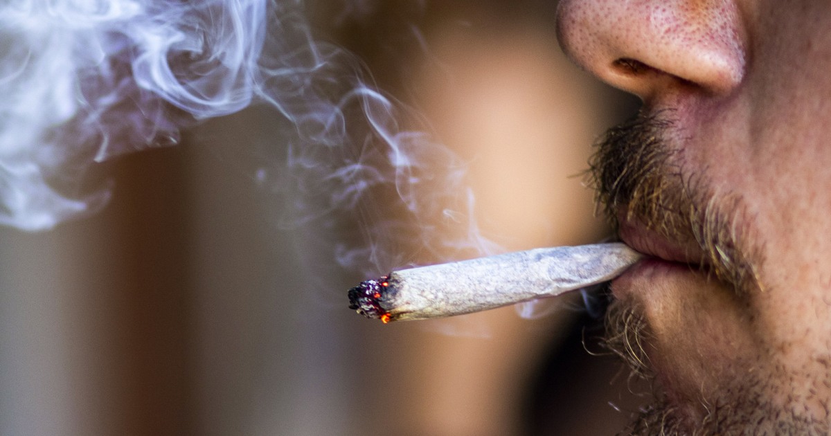 Using marijuana as little as once per month is linked to higher risk of heart attack and stroke