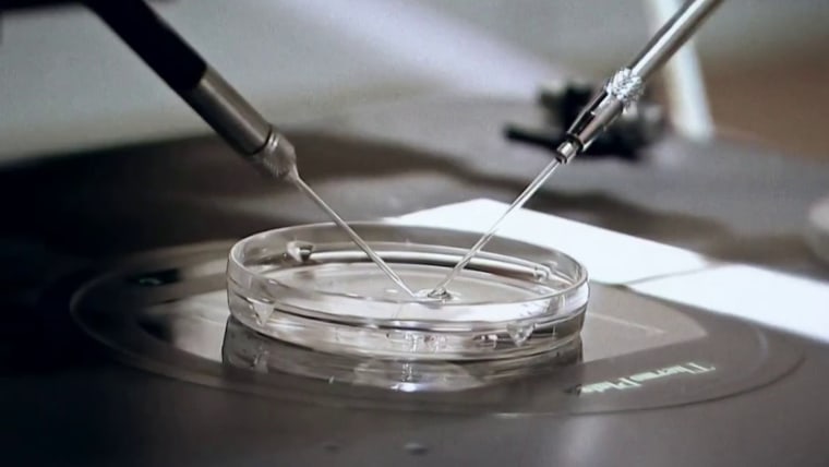 Alabama legislature passes bills to protect IVF treatments