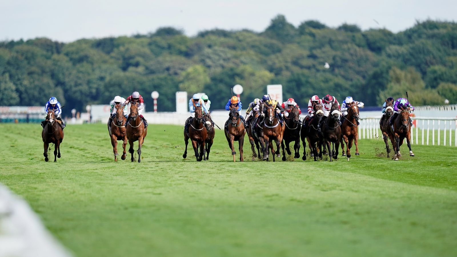 Today on Sky Sports Racing: Migration and Awaal headline the Lincoln