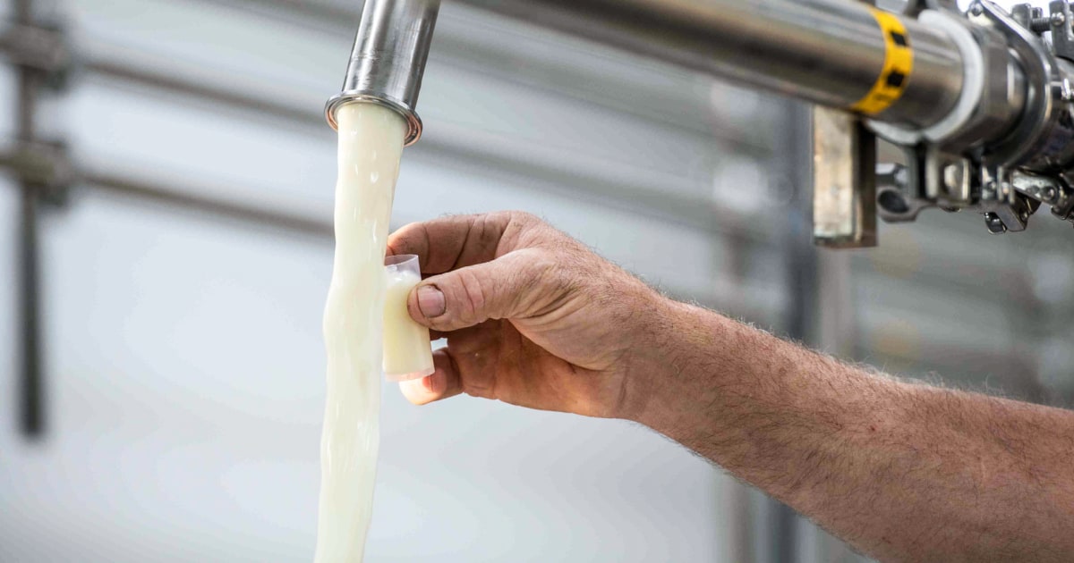 People are drinking raw milk ‘like crazy’ as sales rise despite bird flu warnings