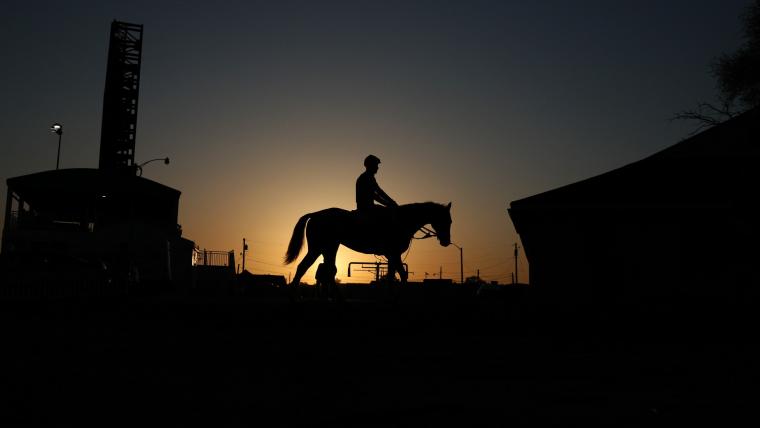 Why do they euthanize horses with broken legs? Explaining why race horses are put down after serious injuries