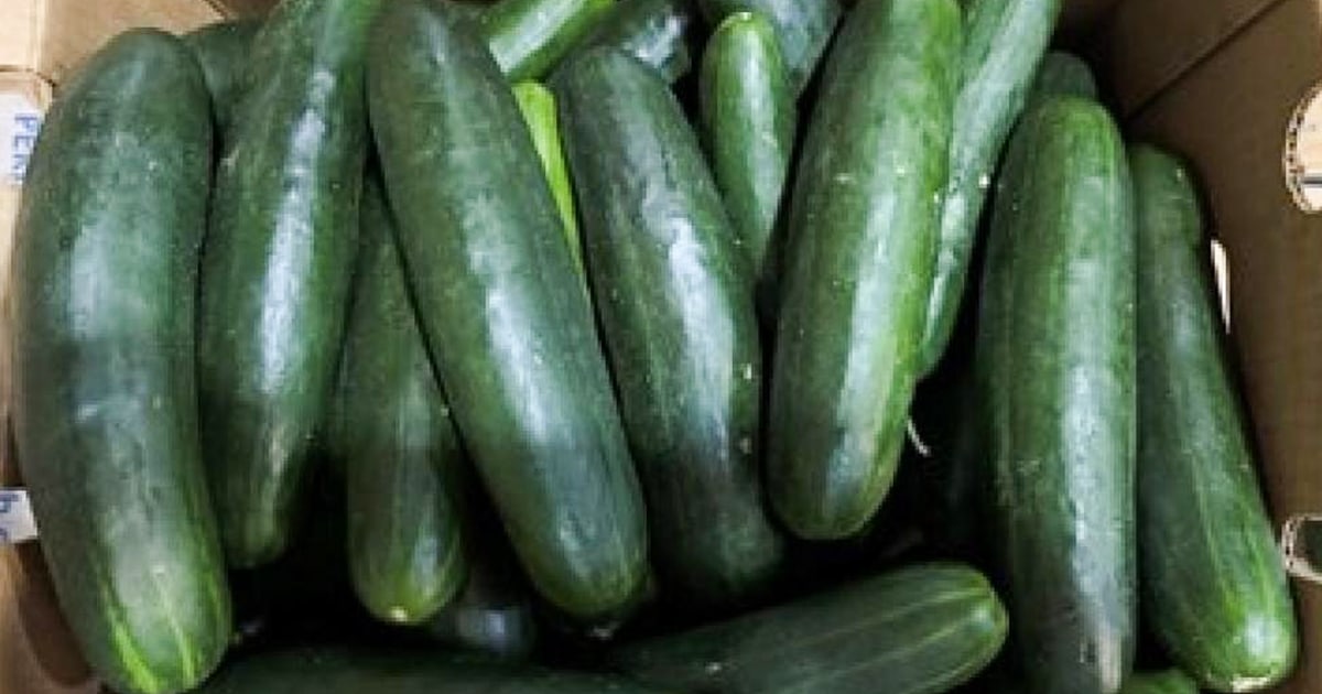 FDA investigating cucumbers as source of Salmonella outbreak that’s sent 54 to the hospital