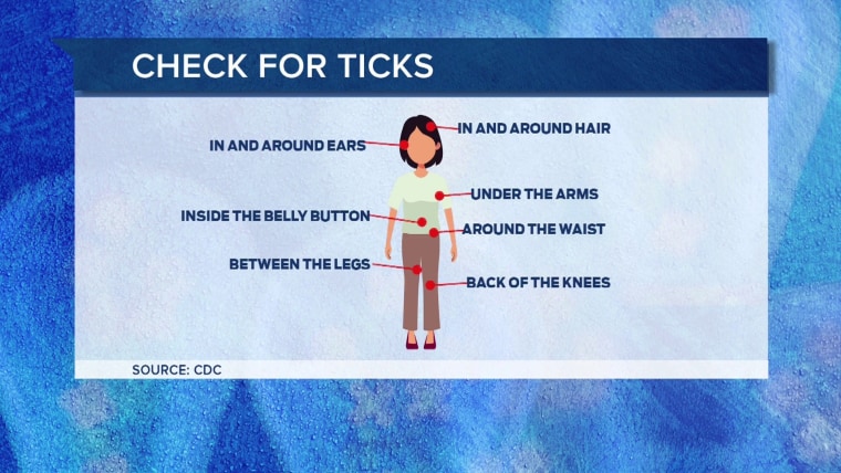 How to protect yourself from the heat, ticks, more this summer