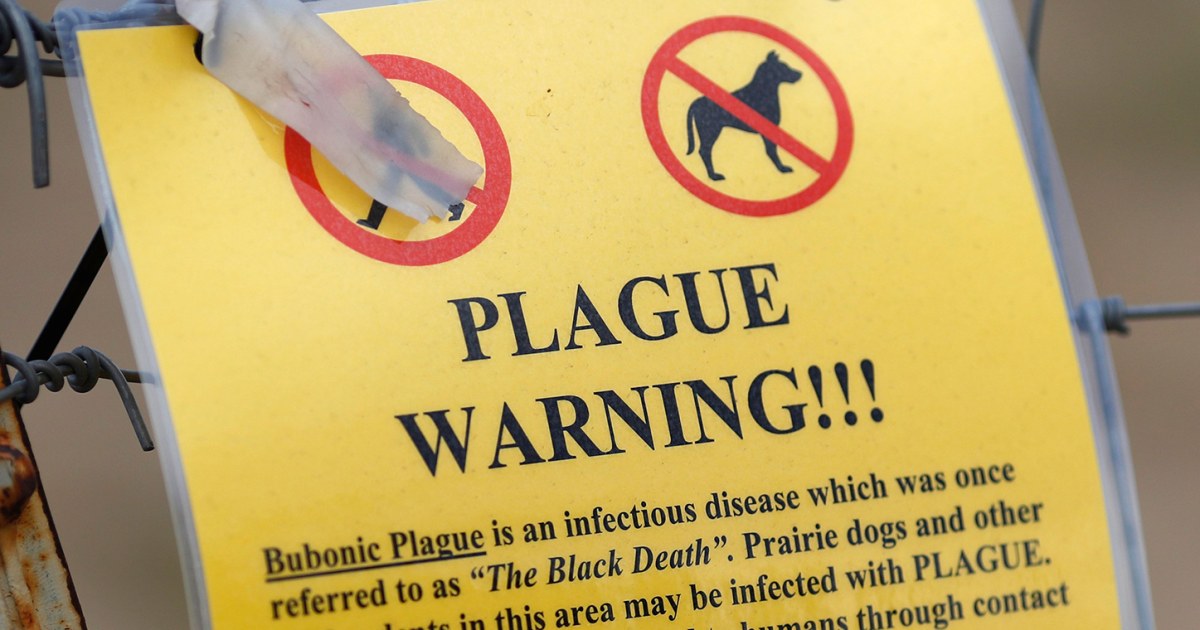 Colorado health officials investigating human case of bubonic plague