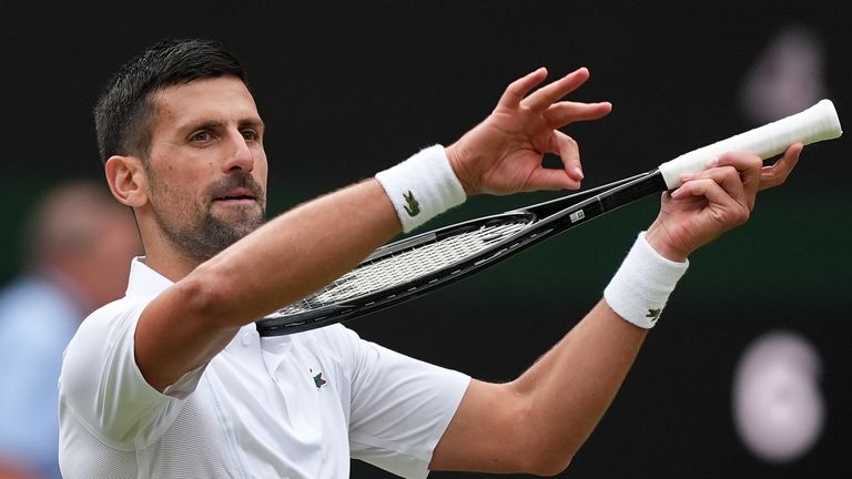 Djokovic and Alcaraz chase history in Wimbledon final