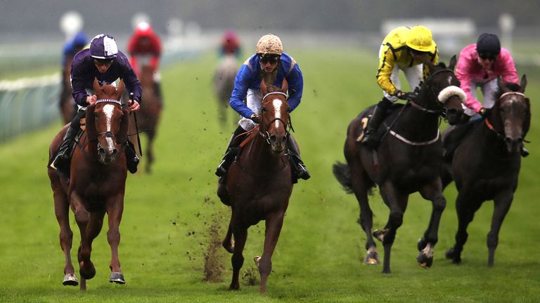 Saturday racing tips: Sonny Liston fancied to see off Quddwah