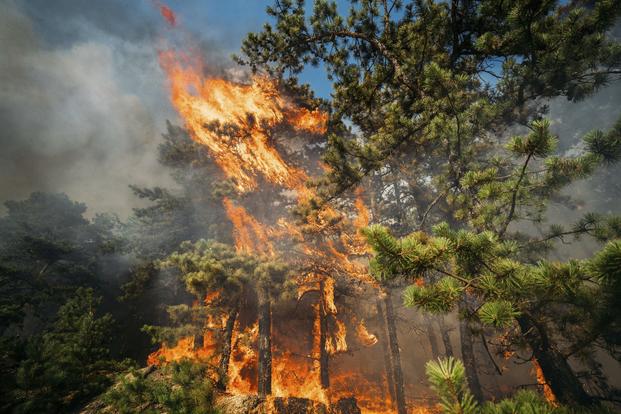 Wildfire Breaks Out at Bombing Range After Guard Conducts ‘Controlled, Loud Activity’