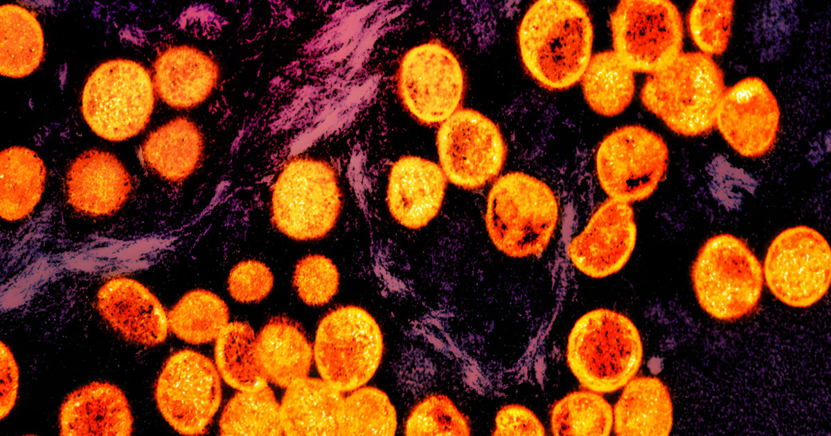 Sweden confirms a case of mpox — the first reported infection of the strain outside of Africa