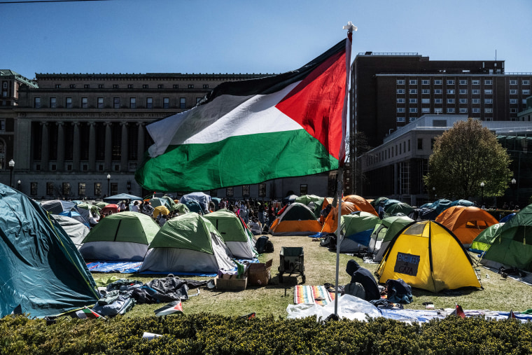 In a growing number of college campuses throughout the country, student protesters are setting up tent encampments on school grounds to call for a ceasefire in Gaza and for their schools to divest from Israeli companies.