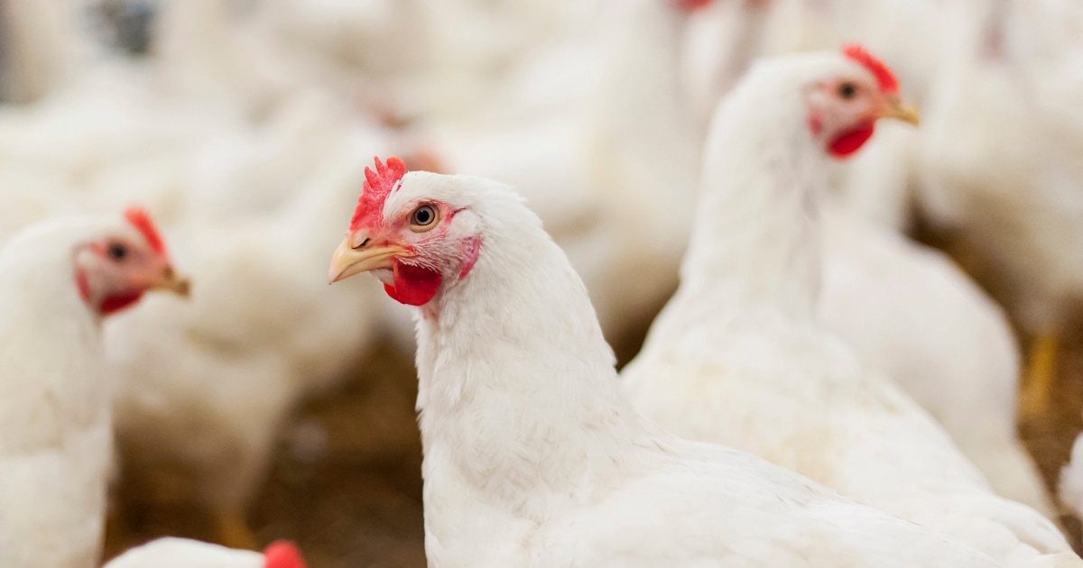 CDC says a second health care worker tied to Missouri bird flu case had symptoms