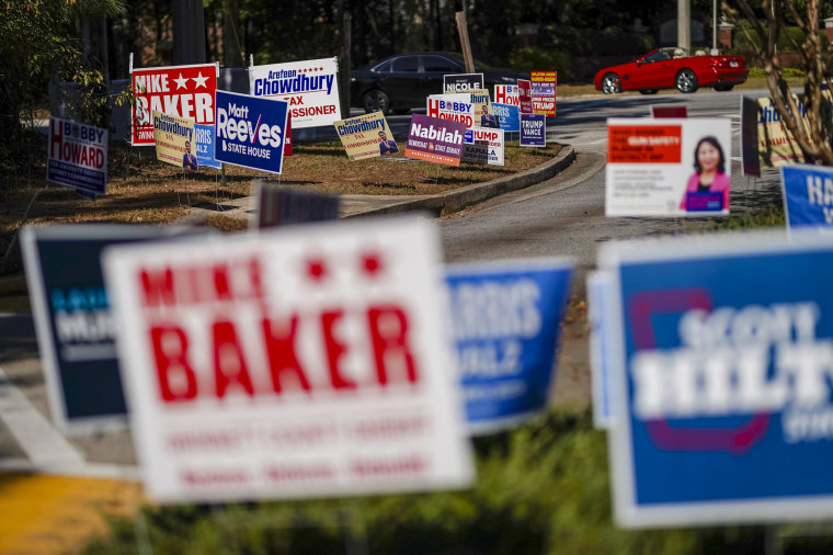 Campaign lawn signs.